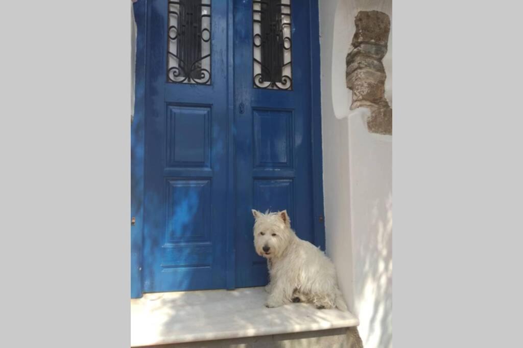 Вілла Blue & White: An Absolute Aegean Dream House Galini  Екстер'єр фото